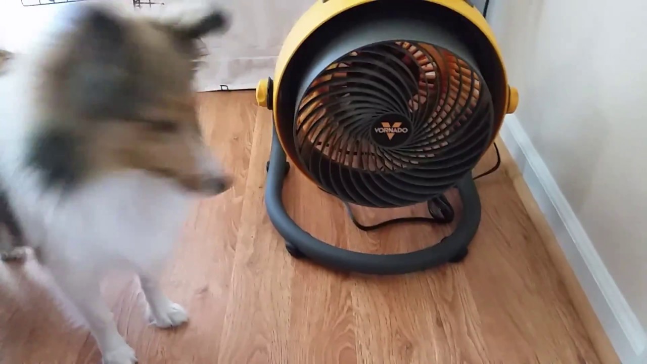Vornado 293 HD Fan Keep your house 