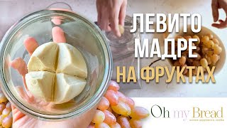 Как сделать закваску Левито Мадре на фруктовой воде?