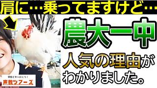 声教ツアーズvol.32 「実際に行ってわかった！農大一中が支持されるワケ」東京農業大学第一高等学校中等部　#中学受験 #共学校 #附属