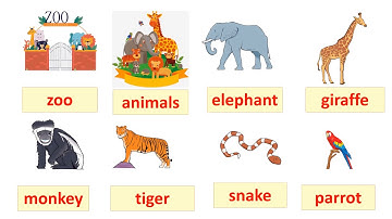 Học từ vựng về động vật trong sở thú