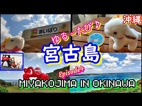 宮古島🏝EP4❤ゆる旅in沖縄 #宮古島東急ホテル＆リゾーツ #竜宮城展望台 #タコ公園 #まいぱり（宮古島熱帯果樹園），観光・グルメ・ドライブ・ホテル情報を，ゆる～く紹介しています🏝