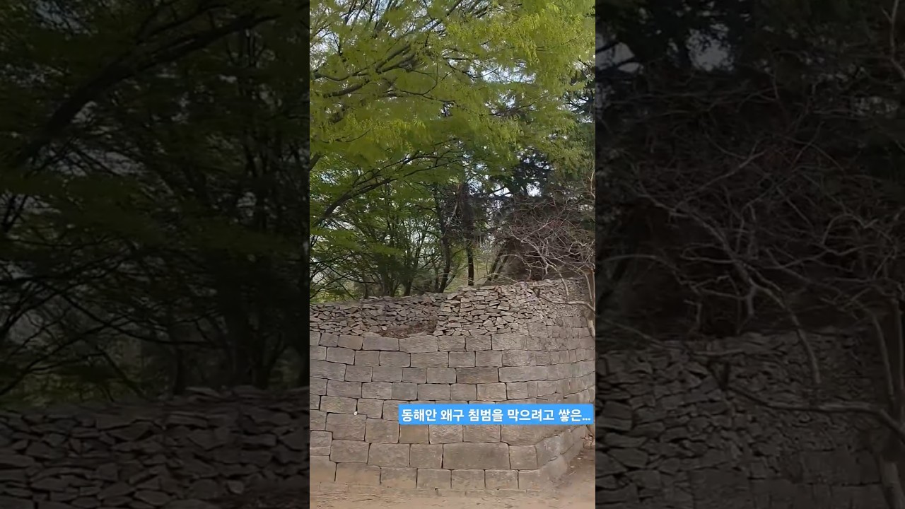 왜구를 막으려고 신라에서 쌓은(722년) 모화 관문성(사적)/Mohwa Gate Castle, Gyeongju14 