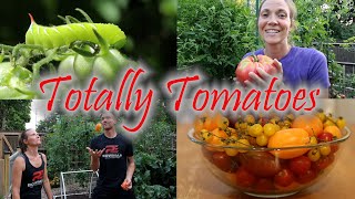 Totally Tomatoes (Garden Episode Two): Planting, Hornworms, Harvesting and More!