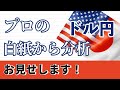 ３波目前の１時間足！最高値を３波で抜いてくるか注目の場面です。白紙チャートにラインとフィボナッチのみで分析しています。是非ご覧ください。 #ドル円 #FX #FXトレード