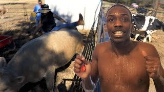 He Told Me I Couldnt Ride A Bull, So I Did