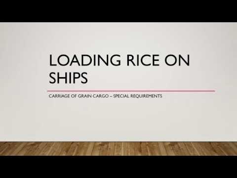Loading Rice on ships - Cargo Work (Bulk Carrier)