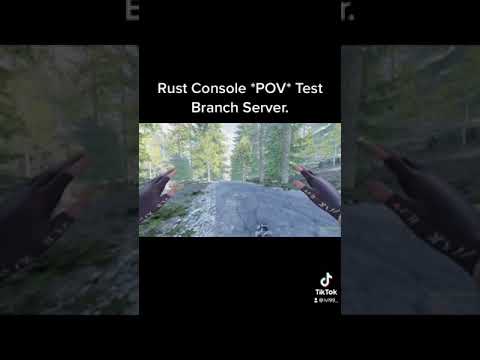 Rust Console Test