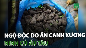 Ngộ độc do ăn canh xương ninh củ ấu tàu | VTC14