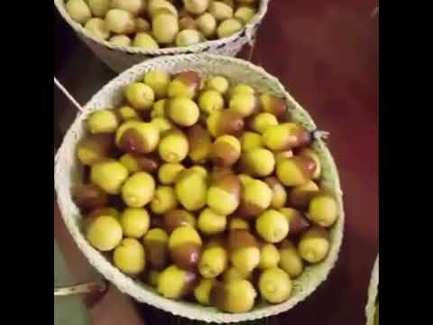 ومن ثمرات النخيل والأعناب تتخذون منه سكرا ورزقا حسنا