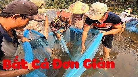 Bắt Cá Bống Suối Tập 6 | Căng Màn Bắt Cá ✓ Poòng Văn Quỳnh