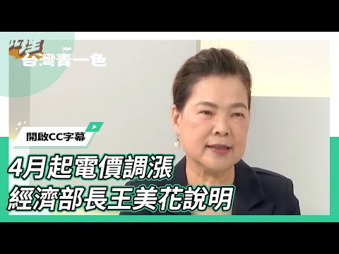 CC字幕｜王美花喊話業者：不應因漲電價跟著漲物價 能源轉型、雲豹爭議一次答！ 【#齊有此理】