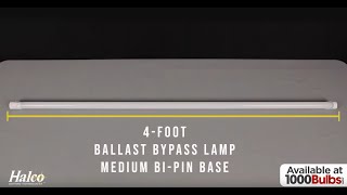 Emergency LED T8 Type B Lamp | Halco