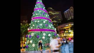 15 December 2022 Details