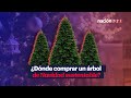 ¿Dónde comprar un árbol de Navidad sustentable?