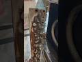 window AC key cooling coil kaise Shahiv Kare #shortsviral #shortvideos #short #shorts #ytshorts