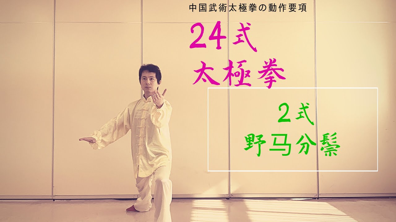 簡化２４式太極拳 ２式 野馬分鬣 中国武術 太極拳 カンフーの家房ブログ