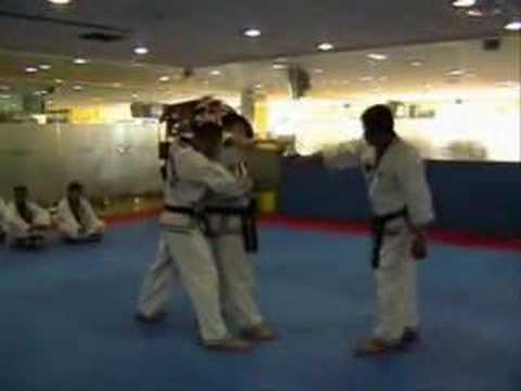 Hapkido Jin Jung Kwan dui dora chagui