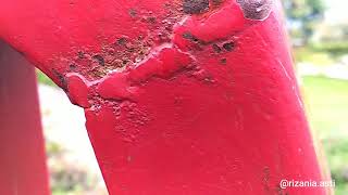 Soko Langit Kenangan Soko Langit