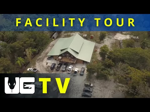 Raw Video Underground Reptiles Reviewsterms Of Use Preview - izyd7a3