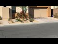 Road Runner in Palm Springs