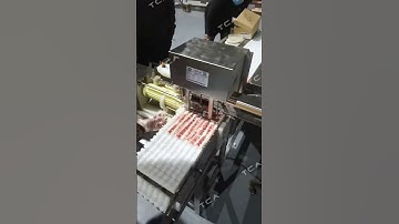 Automatic meat cutting and skewer machine