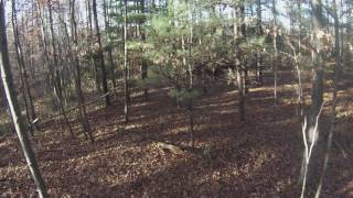 11/10/16, Doe, Mathews DXT with Rage 2 blade