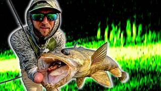 SO MANY WALLEYES to Sort Through on Green Bay!