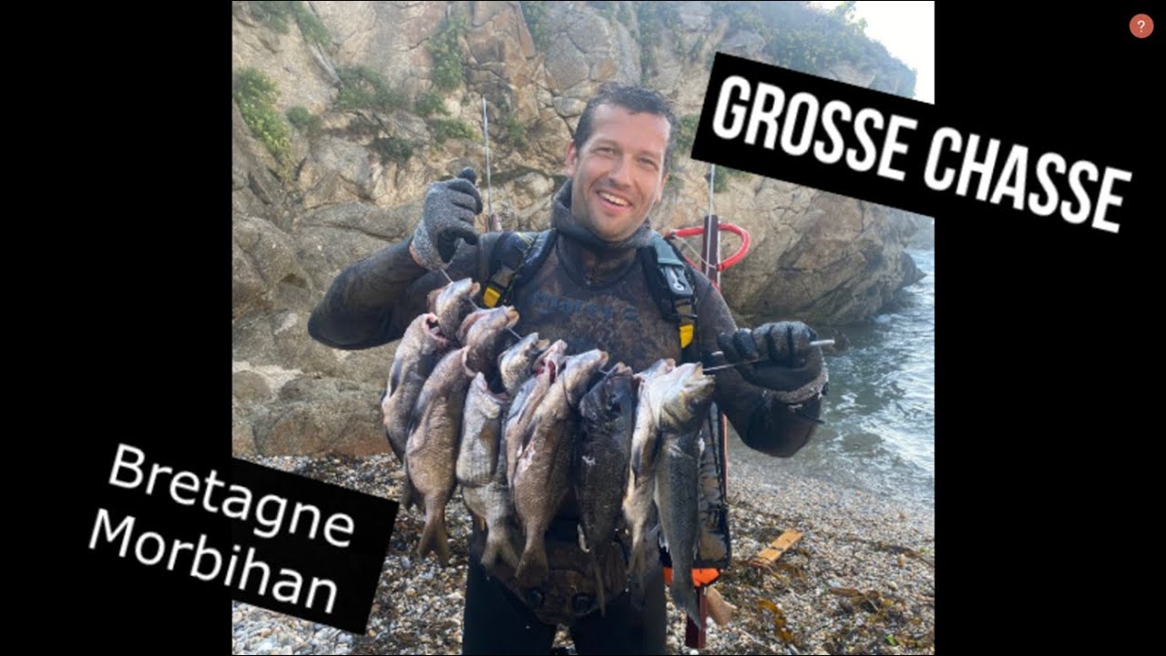 Grosse chasse sous les vagues en Bretagne (Morbihan) 
