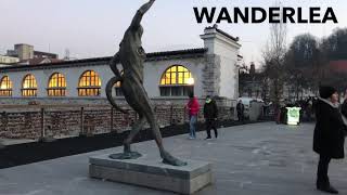 Dragon Bridge, Mesarski Most, Petkovskovo Nabrezje Street