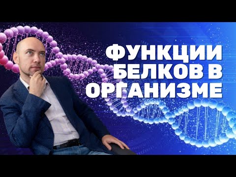 Видео: Какова функция моторных белков?