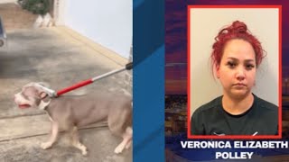 Pit Bull severely injures man during attack; dog owner faces serious charges