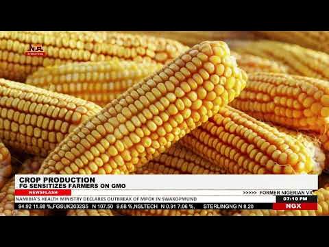 International News | 19 October 2025 | NTA