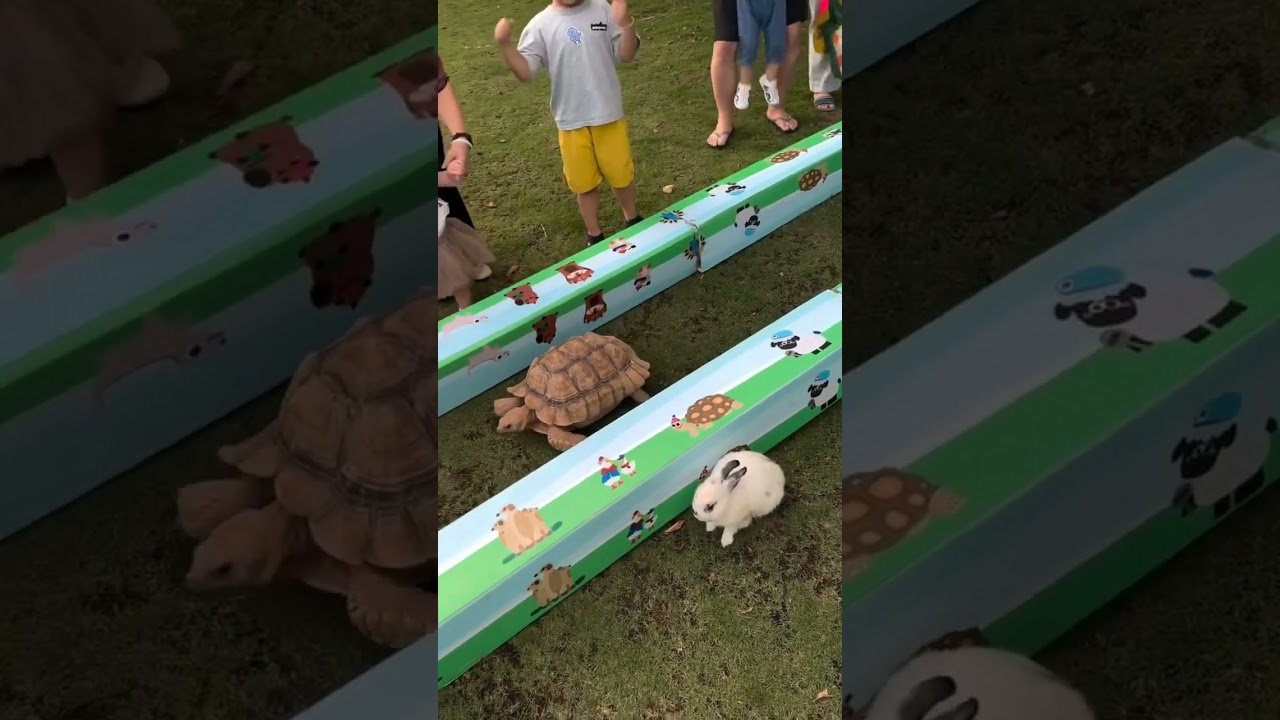 What Focus and Persistence Can Do! 