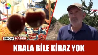 İngiltere Kraliyet Ailesi de kirazsız kaldı