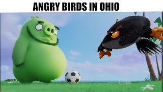 normal day in angry birds ohio 💀 screenshot 4