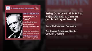 String Quartet No. 13 in B-Flat Major, Op. 130: V. Cavatina (arr. for string orchestra)