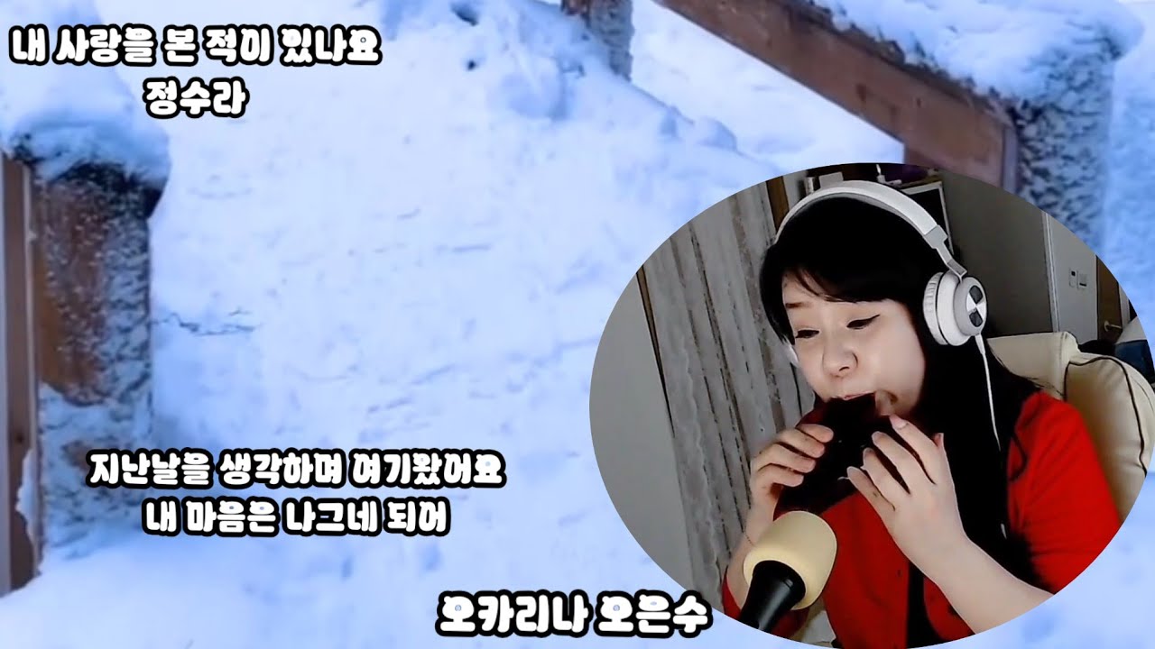 #내사랑을본적이있나요 #정수라 #현역가왕3 #홍지윤_차지연 #오카리나연주 