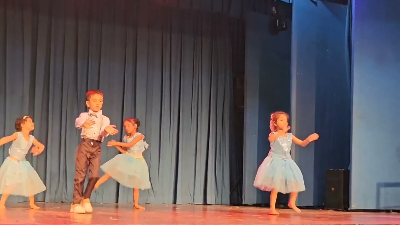 Dance performance||Annual function||Dance academy||