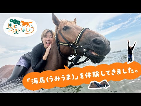 馬に逢いましょう vol.002クーさん（ホーストレッキングファーム三浦海岸）