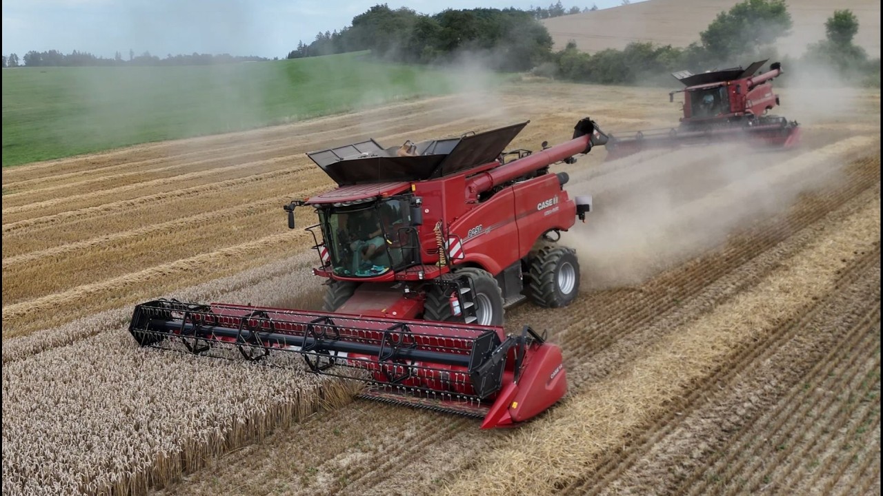 2X Case IH 8250 a Fendt Ideal 9T