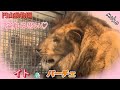 【イト&パーチェ】深まる愛💗
