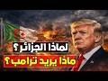 أخطر رجل أمريكي في الجزائر ماذا يريد ترامب من الجزائر في ملف إيران
