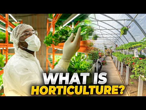 What Is Horticulture #horticulture #Farming #horticulturevibes #agriculturalpractices