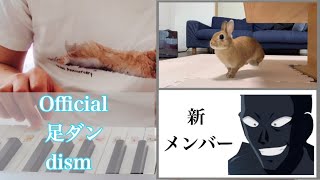 Official足ダンdism 「コナンのテーマ」 #760