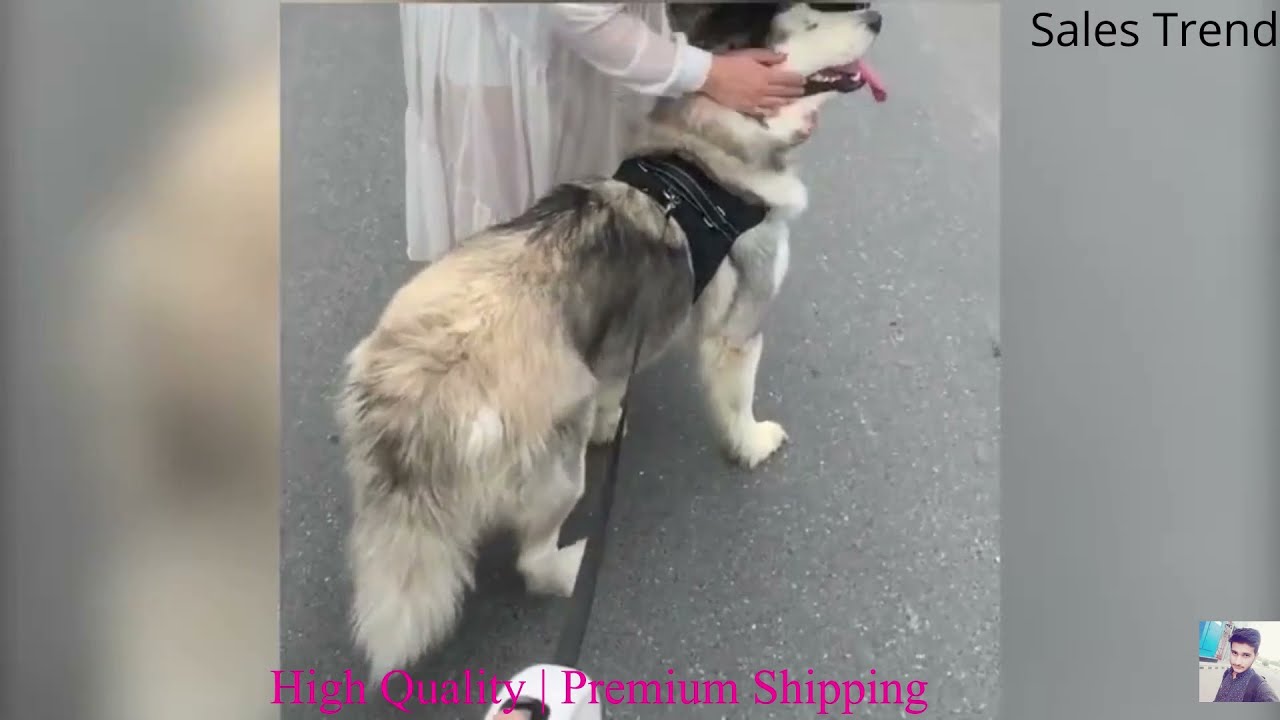 🔥 Dog automatic leashes retractable one button break & Lock/soft hand grip