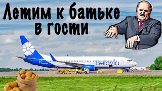 Boeing 738/Belavia/Москва-Минск