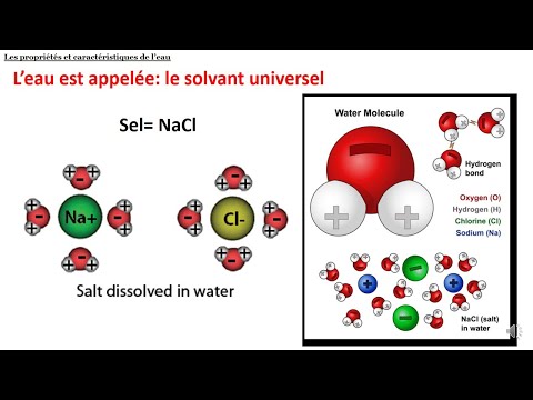 Vidéo: Quelles caractéristiques de l'eau en font une substance importante sur terre ?