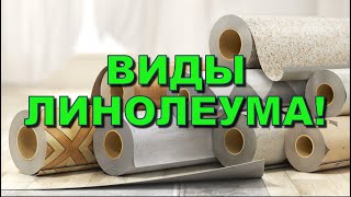 ВИДЫ ЛИНОЛЕУМА! Каких типов бывает? Отличия линолеума для пола!