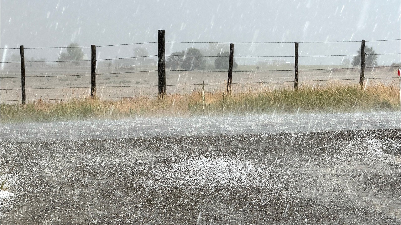 Video: Summer thunderstorm