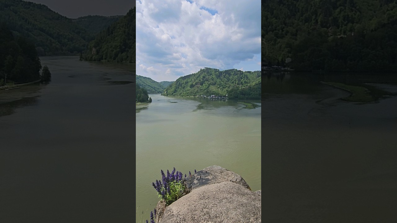 Danube view from the Kettenturm Castle Neuhaus #2 🇦🇹